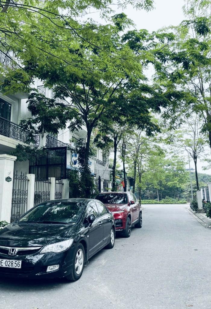 5. Xu Hướng Giá Trong Thời Gian Tới