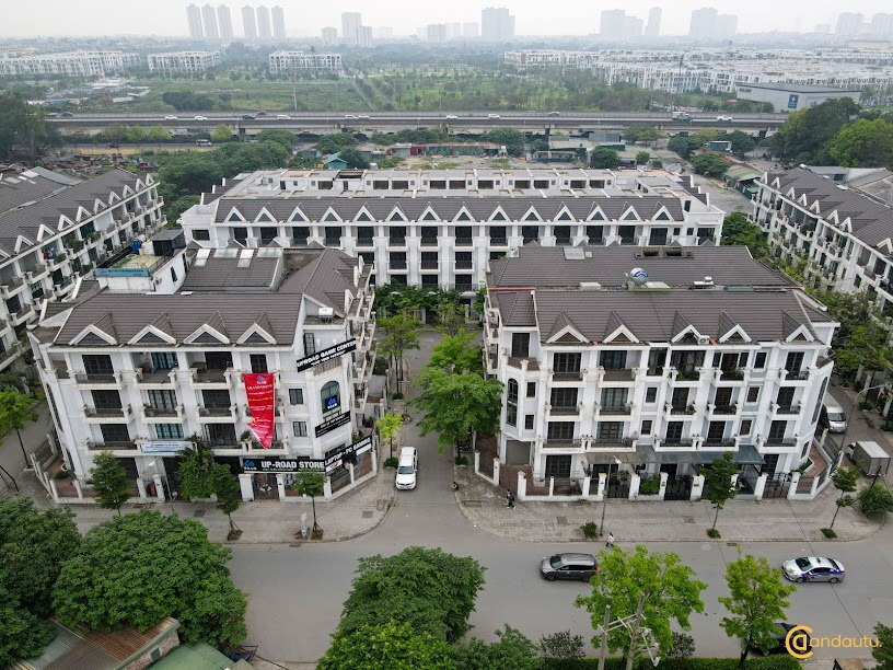 5. Tiềm năng đầu tư