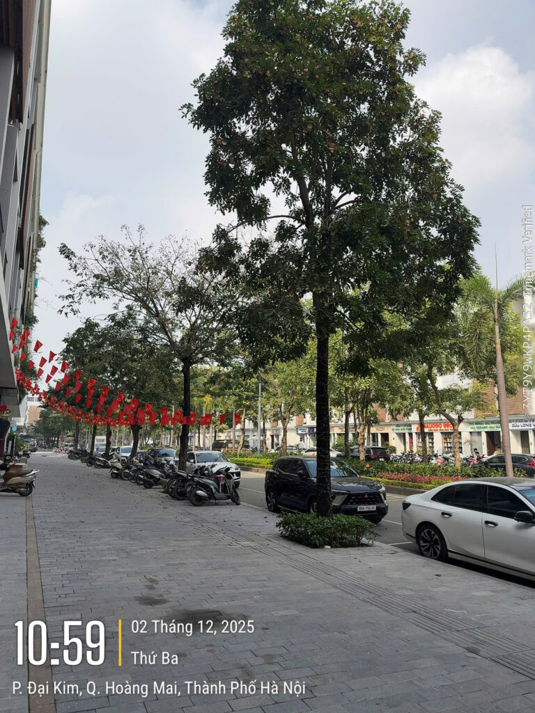 Cho thuê Shophouse The Manor Central Park 99m2 – 4 tầng, mặt Đại Lộ Hoàng Mai