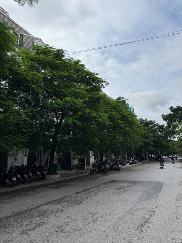 Cho thuê nhà khu đô thị mới Đại Kim Hacinco 75m2, có thang máy, full nội thất